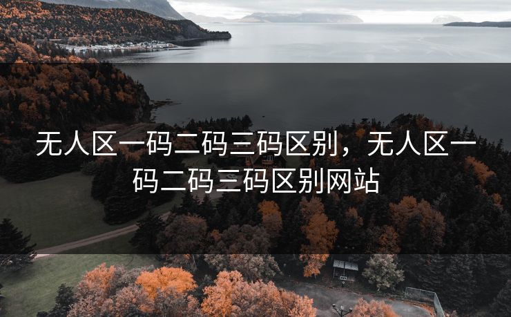 无人区一码二码三码区别，无人区一码二码三码区别网站