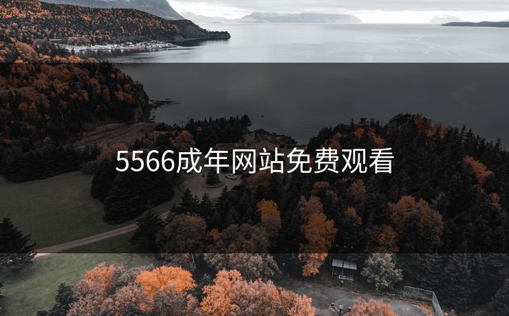 5566成年网站免费观看