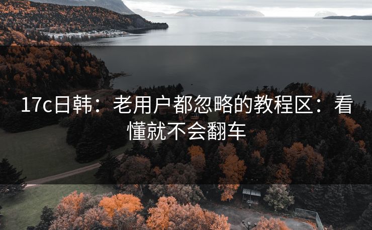 17c日韩：老用户都忽略的教程区：看懂就不会翻车